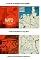 Livro Otan Versus Urss