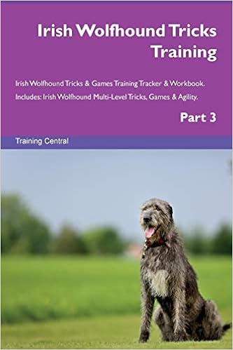 irish wolfhound agility