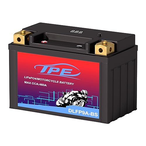 TPE Lithium Motorcycle Scooter Battery LiFePO4