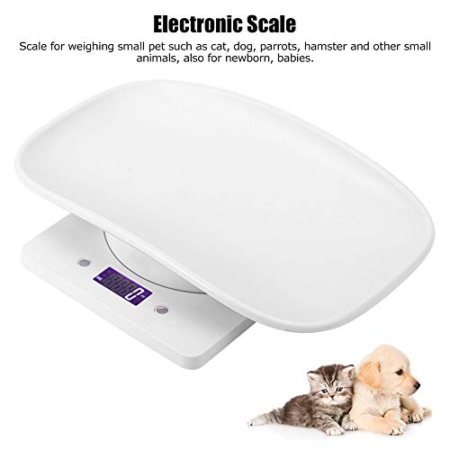 Digital Pet Scale, Accurately Weigh 10kg/1g Small Pet Weight Scale for