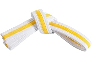 MASTERY MARTIAL ARTS Mastery Tiny Tigers