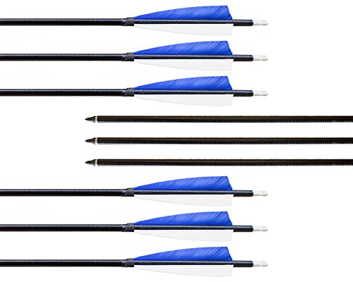 Archery sharly 31" Fiberglass Targeting Practice Arrows Fletching with 5'' Natural Feathers and Replacement Tips for Recurve and Long Bow (12 Pack)