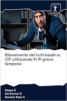 custodia pi greco lampone per schermo