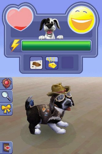 sims pets nintendo ds