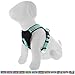Pawtitas Reflective Dog Harness Padded Dog Harness Provides Comfort Control for a Walk or Running Great Pet Accessories Dog Vest M Medium Teal Dog Harness