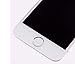 cellphoneage for iPhone 5S New LCD Touch Screen Replacement with Home Button and Camera Full Set Digitizer Diplay Assembly Replacement White + Free Tool Kits + Free Screen Protector (White.)