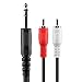 TNP Premium 6 Ft 1/4 Inch (6.35mm) TRS to Dual RCA Y Splitter, Balanced TRS Cable, 1/4 Inch to RCA Adapter, Red and White