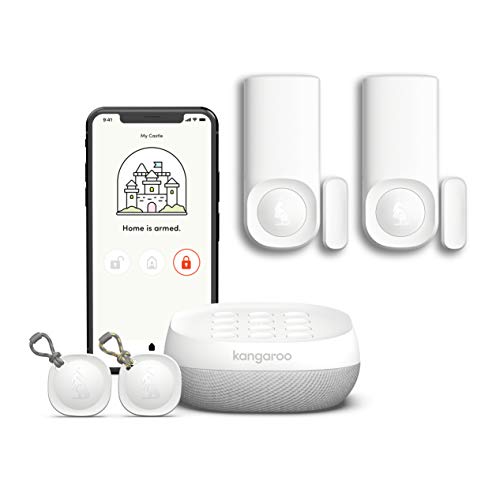 security system compatible with google home