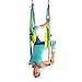 YOGABODY Yoga Trapeze (Official), Blue/Green - Yoga Inversion Swing