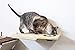CatastrophiCreations Cat Dining Table Handcrafted Wall-Mounted Feeder Shelf