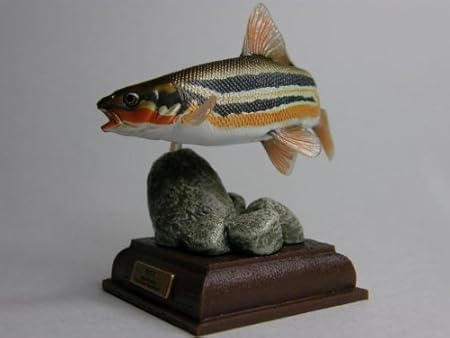 Amazon 奇譚クラブ ネイチャーテクニカラー 日本の清流 ウグイ 婚姻色 カプセル玩具 おもちゃ