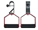 Stamina Rotating Pull Up Handles