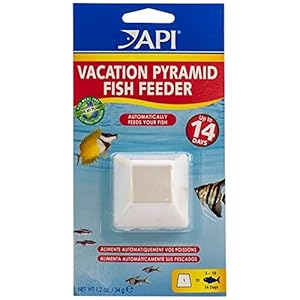 API-HOLIDAY-PYRAMID-FISH-FEEDER-14-Day-Automatic-Fish-Feeder-34-Gram-1-Count-Pack API HOLIDAY PYRAMID FISH FEEDER 14-Day Automatic Fish Feeder 34-Gram 1-Count Pack,White