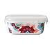 French Bull 3 Piece Porcelain Food Storage Container Set - Lunch, Airtight - Gala