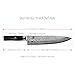 Shun Hiro SG2 10-inch Chef's Knife
