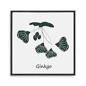 Framed Canvas Wall Art for Living Room, Bedroom Nordic Style Plants Theme Canvas Prints for Home Decoration Ready to Hang - 16x16 inches