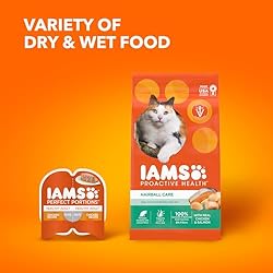 IAMS Proactive Health Adult Hairball Care Dry Cat
