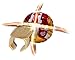 Sega BTC-66 Bakugan Bakutech Booster Pack - Jigen Dragaon