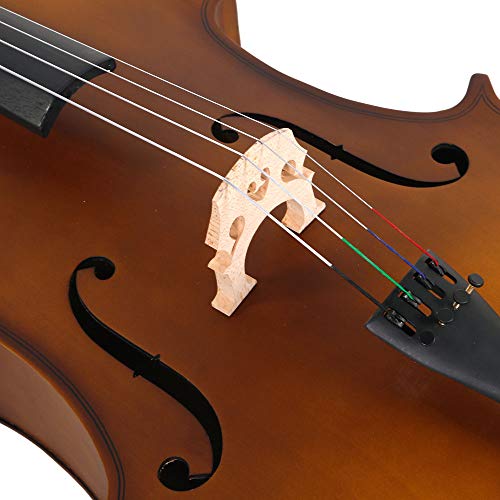 Z ZTDM Acoustic Cello with Carrying Bag, Bow, Rosin for Beginner Cello Kit (4/4 (Matt Golden))