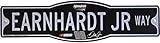 Dale Earnhardt Jr. 4.5
