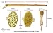 Beuty Care Luxury 3 Piece Dry Skin Natural Body Brush - Remove Dead Skin, Stimulates Blood Circulation, Cellulite Treatment, Improves Lymphatic Functions, Exfoliates, and Cellulite Treatment Gift Set