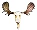 Resin Moose Skull Rustic Wall Head Mount 19 Inch
