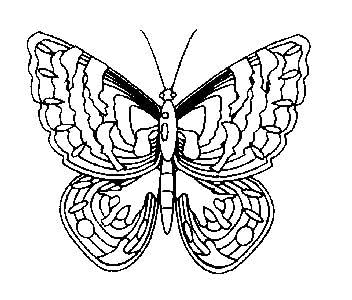Art Stamps Small Butterfly Stamp
