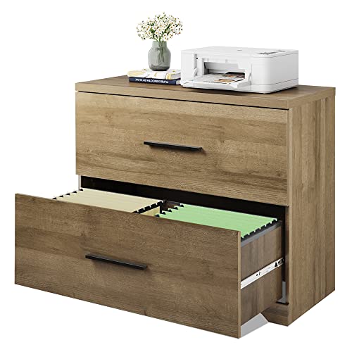 DEVAISE 2 Drawer Wood Lateral File with Antitilt Mechanism