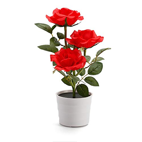 Highpot Outdoor Solar Garden Stake Lights Flower Lights Solar Powered Lights Waterproof Landscape Pathway Lights for Garden, Yard, Lawn, Patio (Red)