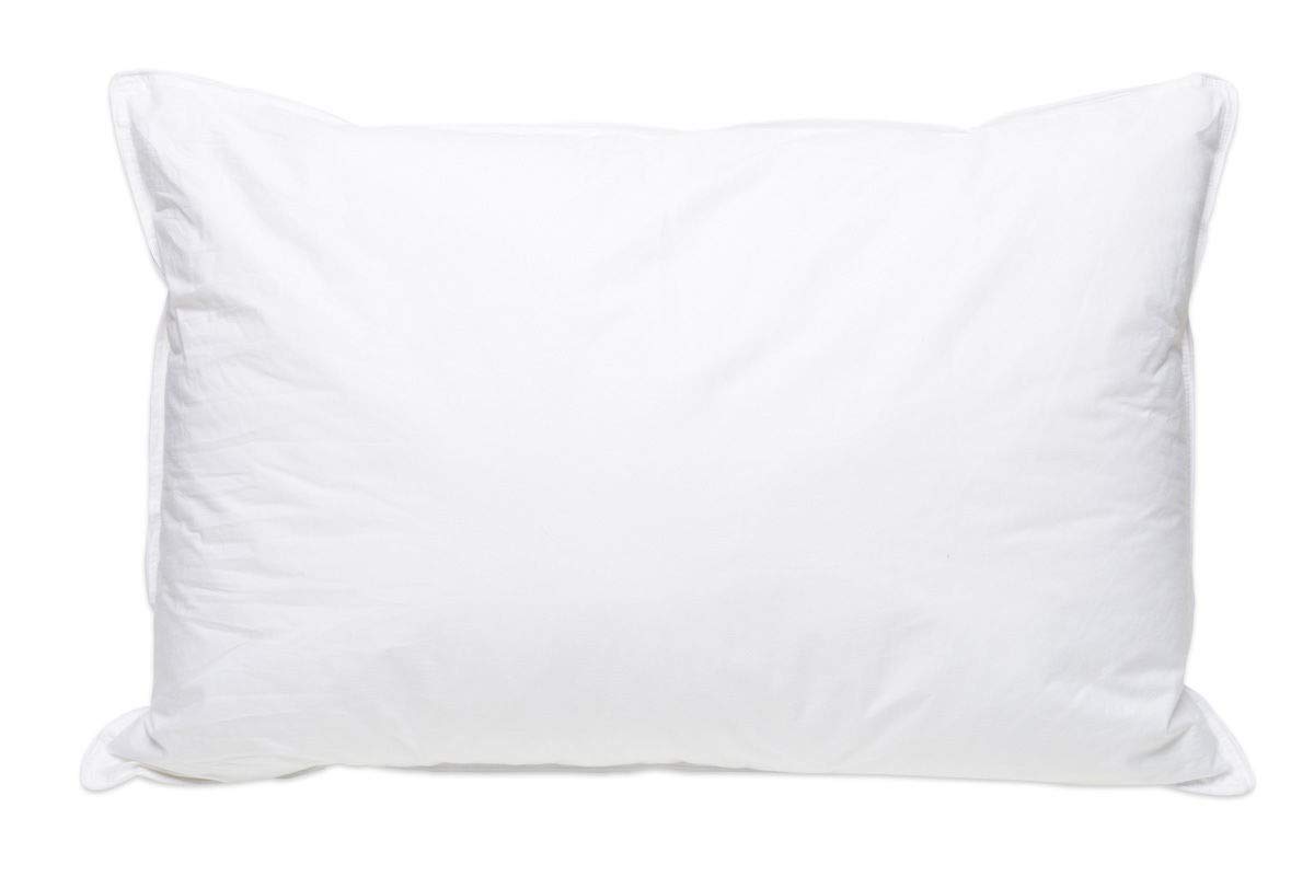 Pillowtex Firm Premium Polyester Standard Pillow Set of 2