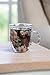 Summer Bloom Glass Cup - 5 x 4 x 5 Inches