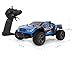 RC Cars, All Terrain Remote Control High-Speed Telecar, Offroad 2.4Ghz 2WD Remote Control Monster Truck, Best Christmas Gift for Kids and Adults(Blue truck)