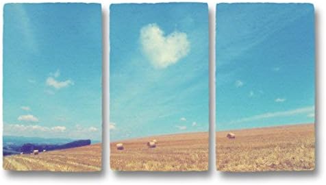 Artwork "Heart cloud and grass roll on hill" x3c art panel printed on Japanese traditional paper "WASHI", gifts of beautiful wall decor deco decorations as landscape photography posters prints
