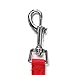 Long Dog Puppy Obedience Recall Training Agility Lead, Leash - RED, 30' Foot - by, Downtown Pet Supply