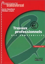 Travaux professionnels