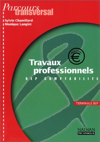 Travaux professionnels