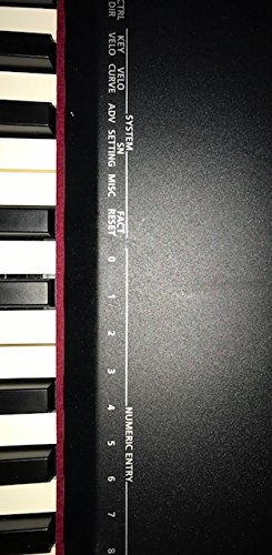 Roland A-88: MIDI Keyboard Controller