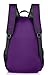 HotCat Free Knight 25L Packable Handy Lightweight Travel Backpack Daypack (New Purple)