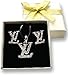 ZEN 18K White Gold Plated Vintage Swarovski Crystal Studs Earrings Rhinestones Dangle Charms Hoops For Women Girls (v)