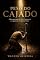 Livro O Peso do Cajado: A Desconstrução do Altar Corporativo e a Agonia do Verdadeiro Pastor (Profético Livro 7)