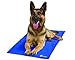 BulbHead Polar Pooch Smart Cooling Mat by for Dogs To Help Regulate Body Temperature.