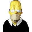 homer simpson disguise