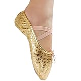 PanDaDa Women Kids Girls Gillter Silver/Golden Leather Ballet Dance Shoes