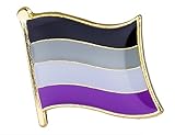 Gay & Lesbian Pride Rainbow LGBT LGBTQ Flag Lapel Pin (Asexual) 16mm x 9.5mm