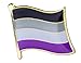 Gay & Lesbian Pride Rainbow LGBT LGBTQ Flag Lapel Pin (Asexual) 16mm x 9.5mm