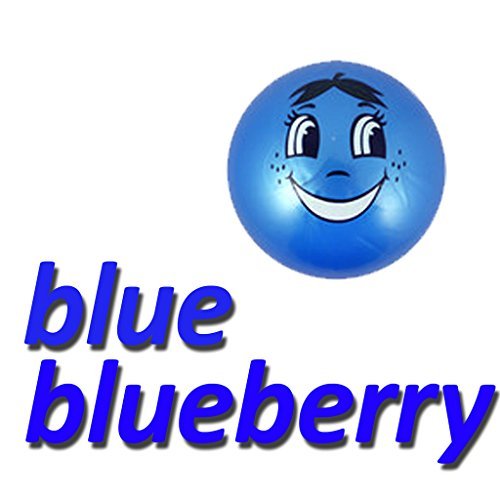 BLUE KIDS SMELLY SMELL FRUITY SCENTED PLAY BALL KEYCHAIN BOP BOUNCE FRUIT SMILEY FACE by FRUITY SMELLY BALL