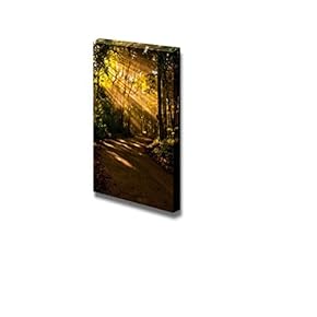 Canvas Prints Wall Art - Sun Lights Through Trees in The Forest | Modern Wall Decor/Home Decoration Stretched Gallery Canvas Wrap Giclee Print. Ready to Hang - 12" x 18"