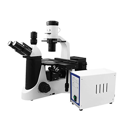 BoliOptics FM03030303 Inverted Microscope