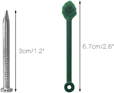 KINGLAKE Clips de plástico para Fijación de Plantas, 30 Unidades ...