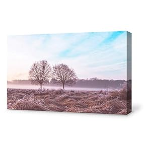 Canvas Wall Art Canvas Fog Natural Season Painting Wall Poster Decor for Living Room Framed Home Decorations - 12x18 inches